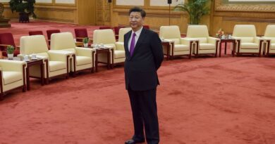 Chinese President Xi Awaits the Arrival
